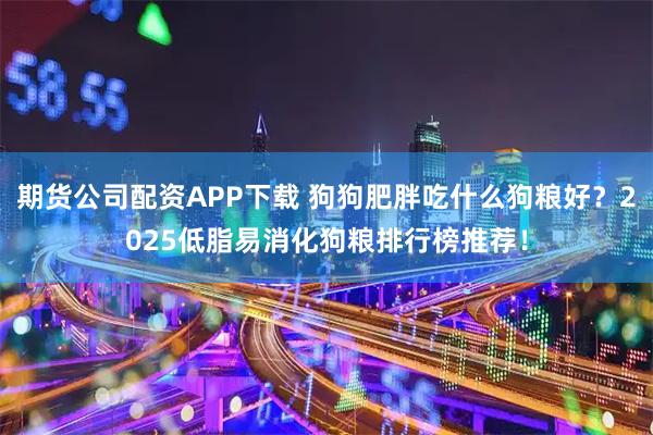 期货公司配资APP下载 狗狗肥胖吃什么狗粮好？2025低脂易消化狗粮排行榜推荐！
