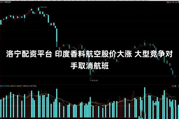 洛宁配资平台 印度香料航空股价大涨 大型竞争对手取消航班